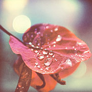 小黑ddos压力测试平台